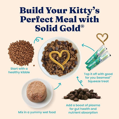 Solid Gold Tropical Blendz Salmon Pate in Coconut Oil - Nutrient-Rich Wet Cat Food for All Life Stages, 16 Pack