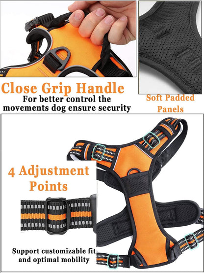 Personalized Custom No Pull Dog Harness Leash Set with Name Phone Number-Heavy Duty Reflective Soft Padded Dog Vest Harness with Easy Control Handle for Small Medium Large Dog-2 Leash Attachments