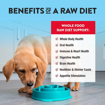 Northwest Naturals Freeze-Dried Beef Dog Food - Bite-Sized Nuggets - Grain-Free, High-Protein, Raw Diet, Human-Grade Ingredients, All Natural, Premium Quality, Healthy & Nutritious, Made in USA, 25 Oz