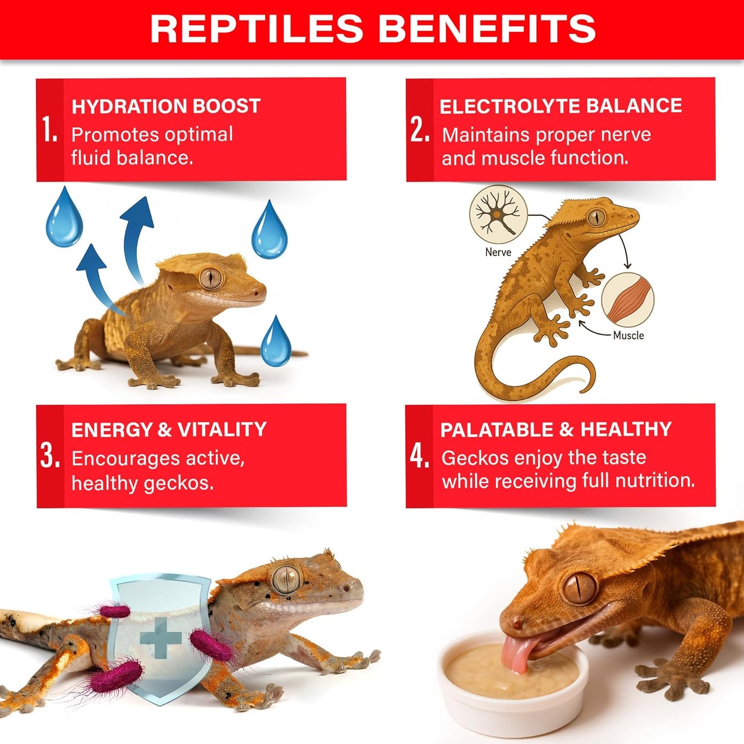 'Picky Geck' Watermelon Crush - Premium Crested Gecko Food | Hydration & Circulation Support with Bee Pollen & Coconut | No Fillers - Only Premium Ingredients | 2oz | Made in USA. Enjoy!