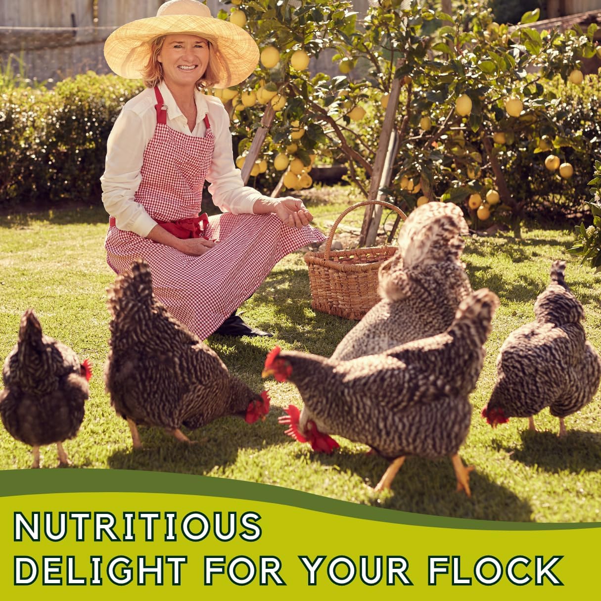 Dried Mealworms 100% Non-GMO 5 Lb - Mealworms for Birds, Chickens, Ducks - Perfect High-Protein Treats - Whole Large Meal Worms, Dried for Chickens and Bluebird Food Bulk