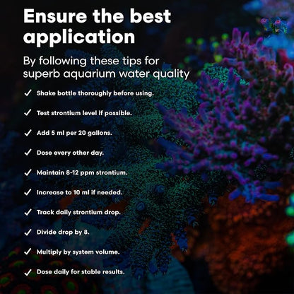 Brightwell Aquatics Strontion High-Strength Ionic Strontium Supplement for Reef Aquariums Supports Coral Skeletal Growth Aragonite Formation SPS LPS, 2L