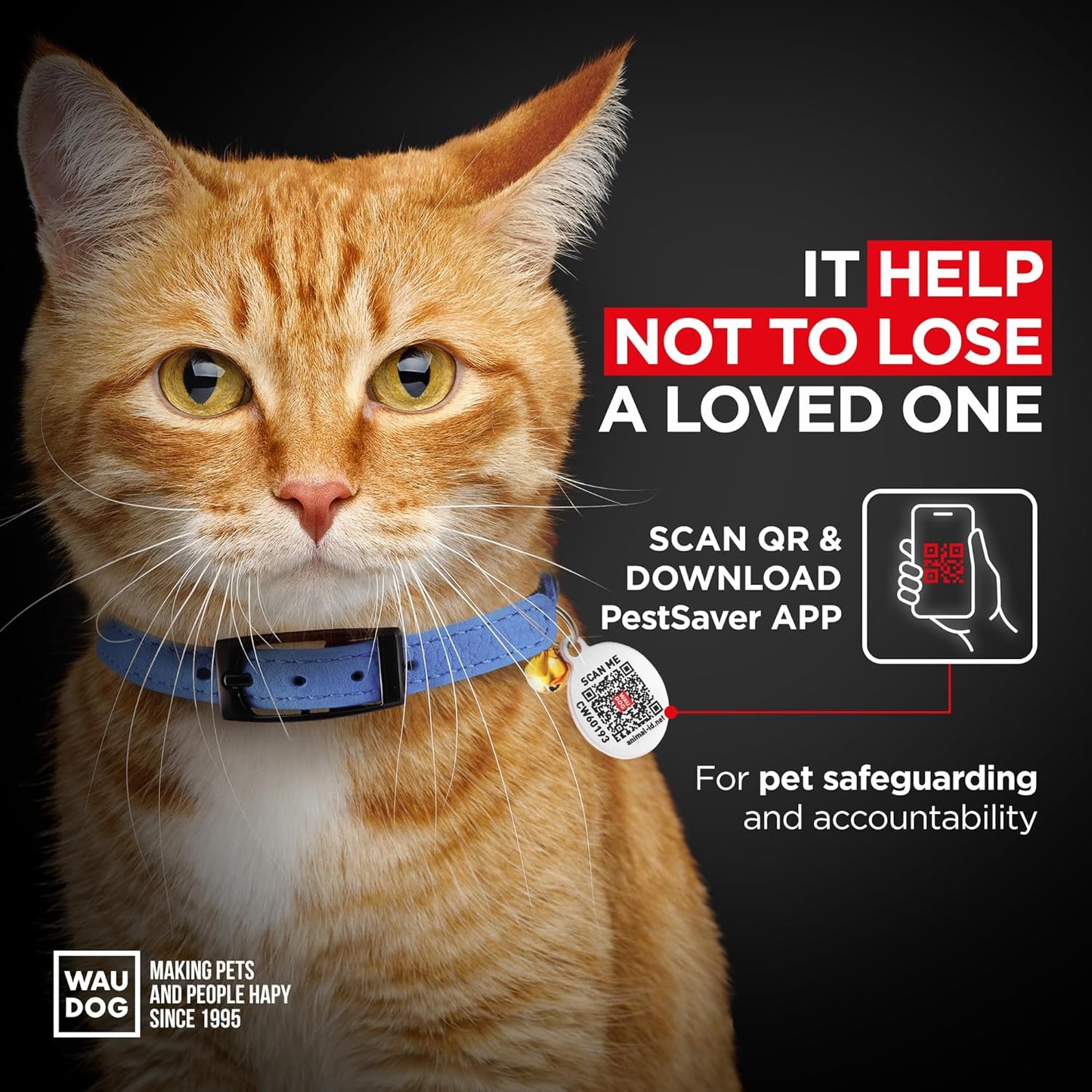 Leather Cat Collar with Bell & Elastic Strap - Pet Collar Leather - Kitten Collar - Small & Big Cat Collar for Boy & Girl Cats with Safety Elastic Strap (Blue, 8" - 12")