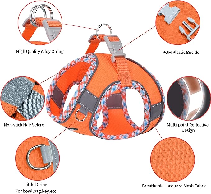AIITLE Dog Harness and Leash Set - Ultra-Comfortable XXS-XL Vest with Strong Magic Tape & Glow-in-Dark Reflective Strips, Chafe-Free for Teddy, Schnauzer (Orange, M)