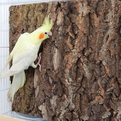 4 Pack Natural Cork Bark Bird Perch Stand, 15.7 × 11.8 inch Parrot Chewing Toys, Birdcage Background Decor Accessories, Bark Toy for Budgie Parakeet Cockatiel Lovebirds Conures Hamster Guinea Pig Rat