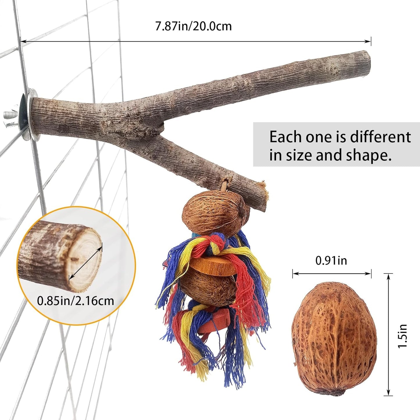 kathson Natural Bird Perches for Cage,Wooden Parrot Stand Branch with Chewing Nuts Toys Exercising Standing Parakeet Cage Accessories for Conures Budgies Finches Cockatiels Lovebird (2 PCS)
