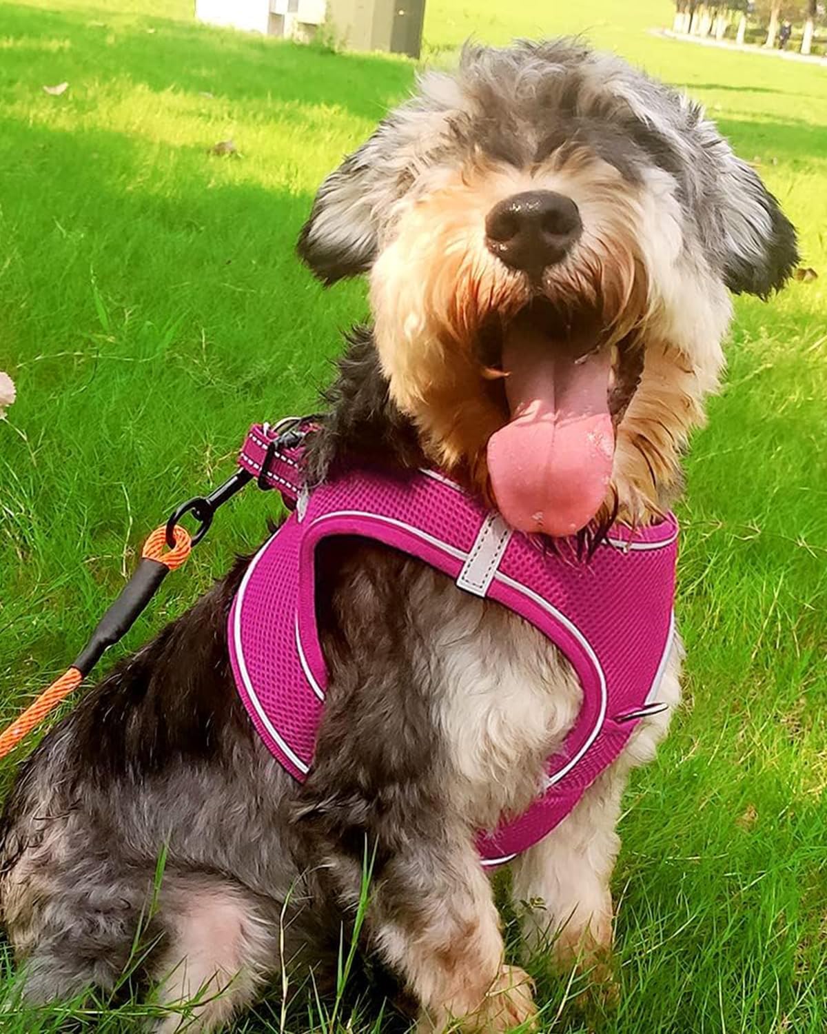 Joytale Small Dog Harness, Breathable Mesh Step-in Vest, Reflective Soft Padded Harnesses for Small and Medium Dogs, Hot Pink, L