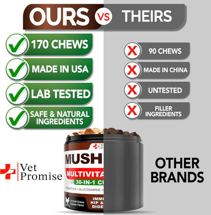 (2 Pack) Mushroom for Dogs - 340 Chews - Turkey Tail - Mushroom Supplement for Dogs - Lions Mane - Reishi - Immunity Support Multivitamin Vitamins - Joint Health - Energy - Gut - Skin - Made in USA