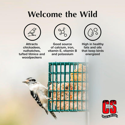 C&S Sunflower Suet Treat 11 Ounces 8 Pack