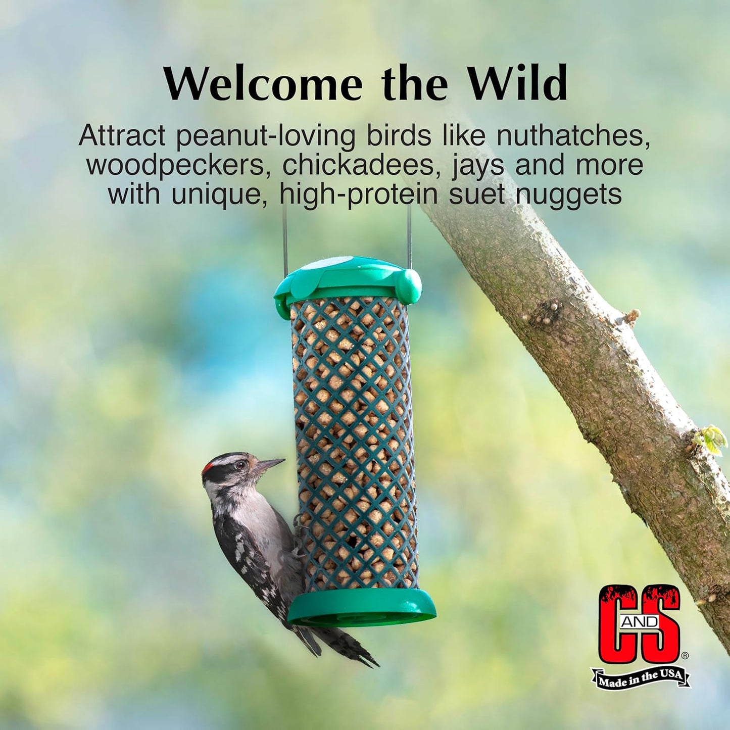 C&S Peanut Suet Nuggets, Outdoor Wild Bird Food for Nuthatches, Woodpeckers and Chickadees, 27 Ounces