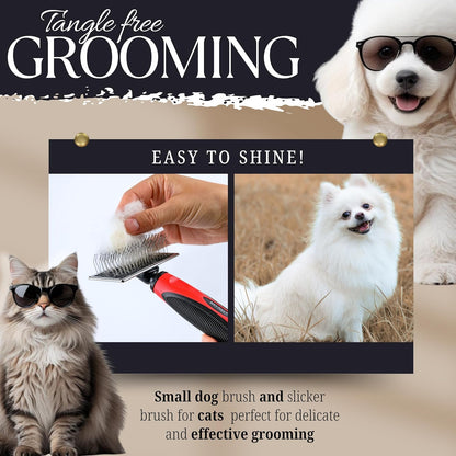 Mini Brush for Dogs and Cats - Coated Tips Massage Skin - Long Pins Remove Mats, Tangles in Long and Poodle Fur