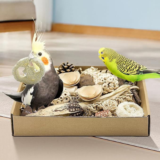 Natural Bird Toy Foraging Parrot Shredding Toys Box Conure Chewing Toys for Cockatiel Lovebird Parakeet Budgie Small-Medium Birds (Nature Color)