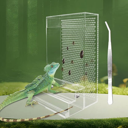Bearded Dragon Feeder, Chameleon Bug Bowl Kit with Steps, Transparent Acrylic Reptile Large Insect Box, Tank & Aquarium Accessories for Reptile Lizard Gecko Frog - 8.2 × 4.3 × 4.7 Inch