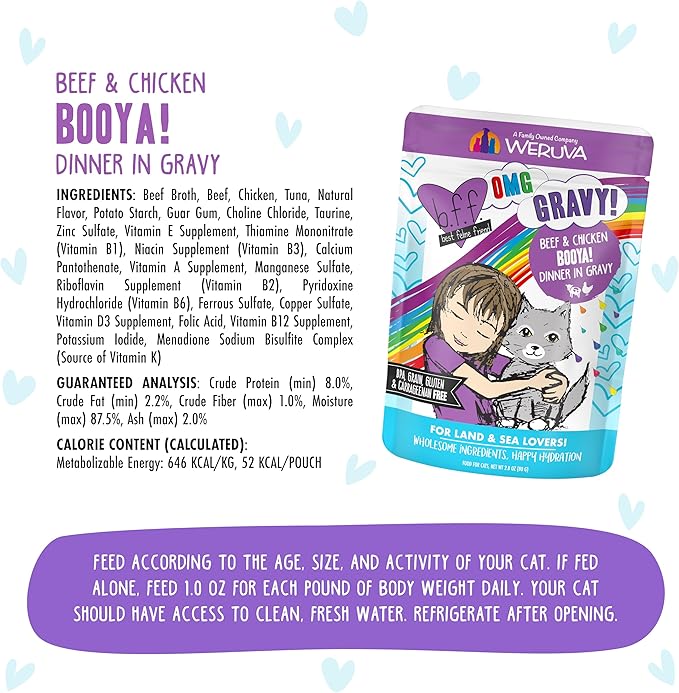 Weruva B.F.F. OMG - Best Feline Friend Oh My Gravy!, Booya! Beef & Chicken in Gravy Cat Food, 2.8oz Pouch (Pack of 12)