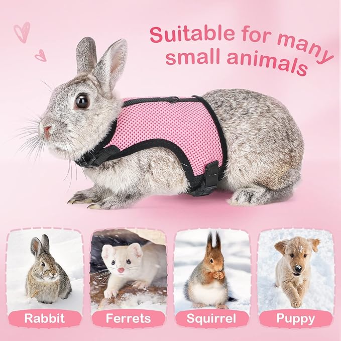 PETTOM Bunny Rabbit Harness with Stretchy Leash Cute Adjustable Buckle Breathable Mesh Vest for Kitten Small Pets Walking (Pink,XL)