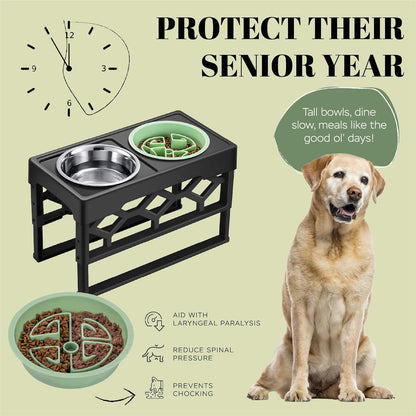 AVERYDAY Large Slow Feeder Dog Bowls Elevated, 4 Height Adjustable Raised Dog Bowl Stand with Stainless Steel Food and Water Bowl, Tall Dogs Feeding Station with Anti-Slip for Medium Large Breeds Dogs