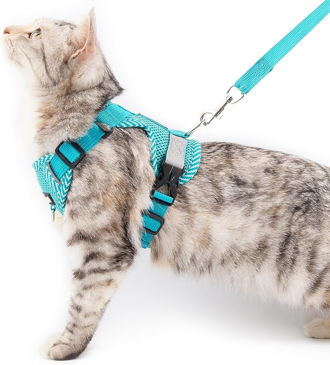 Cat Harness and Leash Escape Proof Extra Large Kitten Harness Maine Coon Cat Vest for Walking Travel, Turquoise, XL