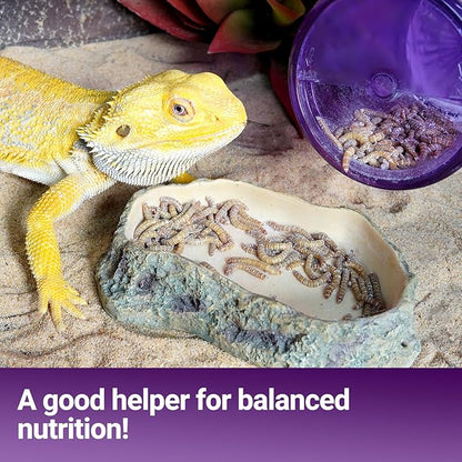 Cricket Calcium Powder Mixer, Reptile Cricket Keeper, Reptile Calcium Duster for Bearded Dragon Gecko Lizard Snake Chameleon (Purple)