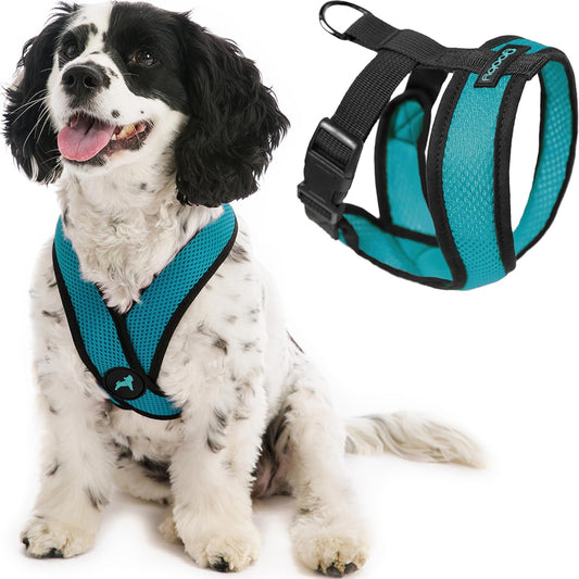 Gooby Comfort X Head in Harness - Turquoise, X-Large - No Pull Small Dog Harness, Patented Choke-Free X Frame - On The Go Dog Harness for Medium Dogs No Pull, Small Dogs for Indoor and Outdoor Use