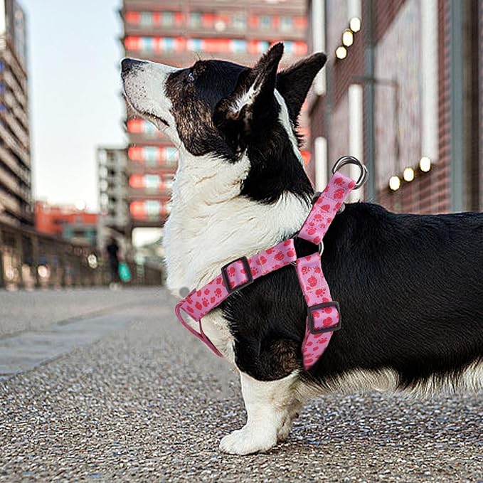 QQPETS Dog Harness Leash Set Adjustable Heavy Duty No Pull Halter Harnesses for Small Medium Large Breed Dogs Back Clip Anti-Twist Perfect for Walking