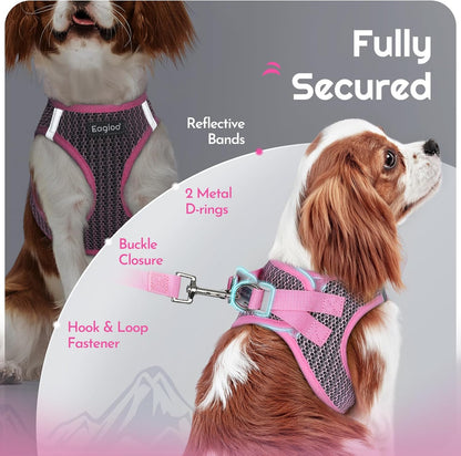 Eagloo Small Dog Harness and Leash Set, Step in Puppy Vest with Breathable Soft Mesh, Walking Reflective Pet Harness for Medium Small Dogs, Pink, L