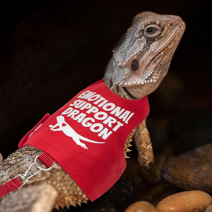 Bearded Dragon Harness and Leash Set - Escape Proof Adjustable Lizard Reptiles Harness with 5 ft Short Leash for Walking Outdoor