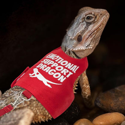 Bearded Dragon Harness and Leash Set - Escape Proof Adjustable Lizard Reptiles Harness with 5 ft Short Leash for Walking Outdoor