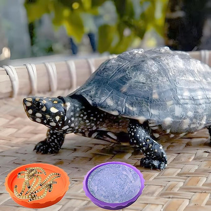 6pcs Reptile Bowls Set:Bearded Dragon Food Bowl,Gecko & Lizard Dish, Turtle Water Bowl&Cricket Keeper for Reptiles
