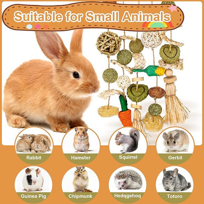 VESPRO Bunny Chew Toys, Rabbit Cage Hanging Chewing Toy and Treats Snack Ring, for Rabbits Chinchilla Guinea Pig Hamsters Grinding Teeth with Other Small Pets, Natural Materials Handwoven (5 Strings)