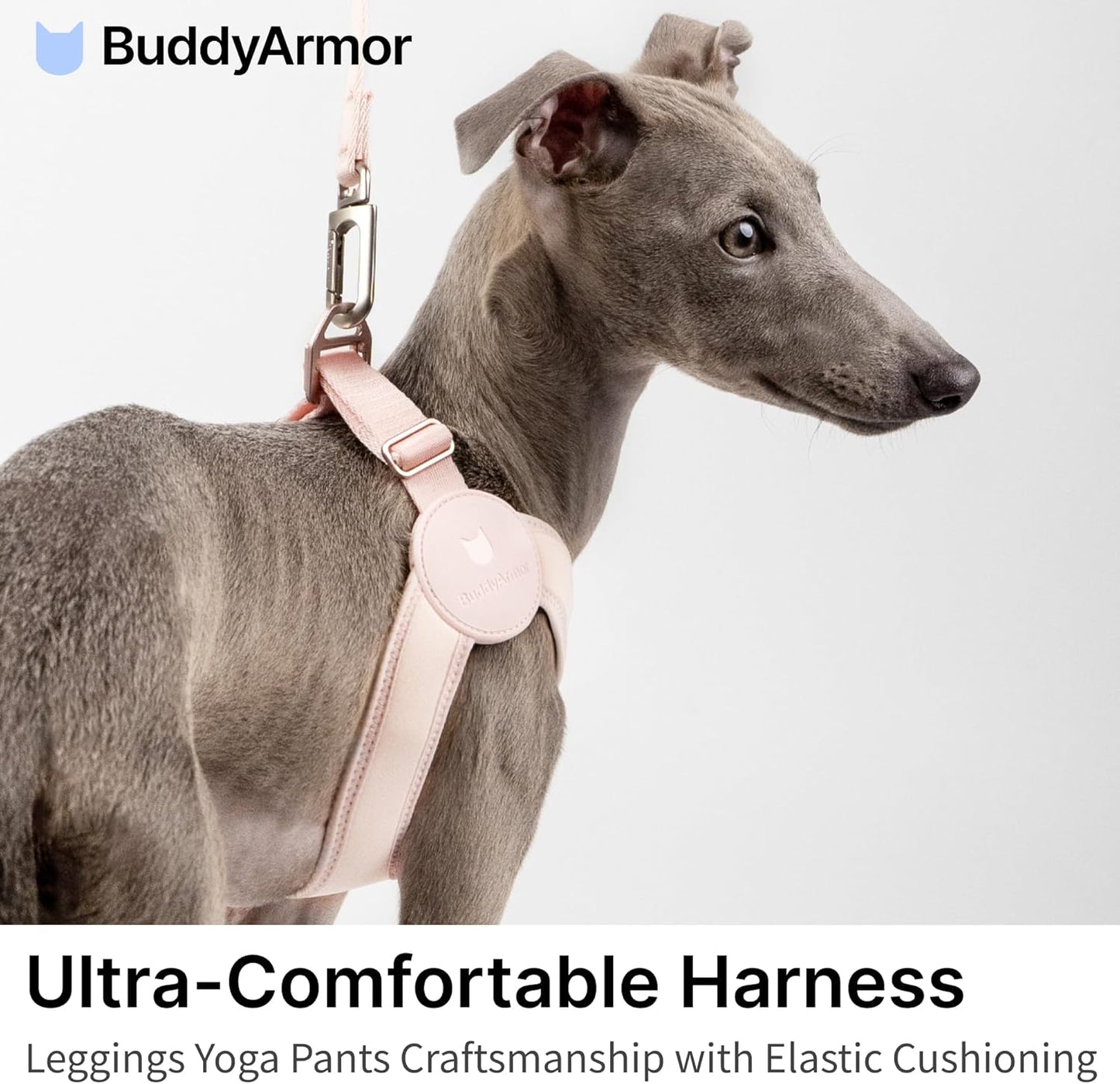 Ultra Comfortable Dog Harness Adjustable Soft Dog Vest, Alloy Buckle Closure Lightweight Stretchy Puppy Harness Step in for Small Sized Dogs Walking Training (Midnight Black, XS 13.4-14.9")