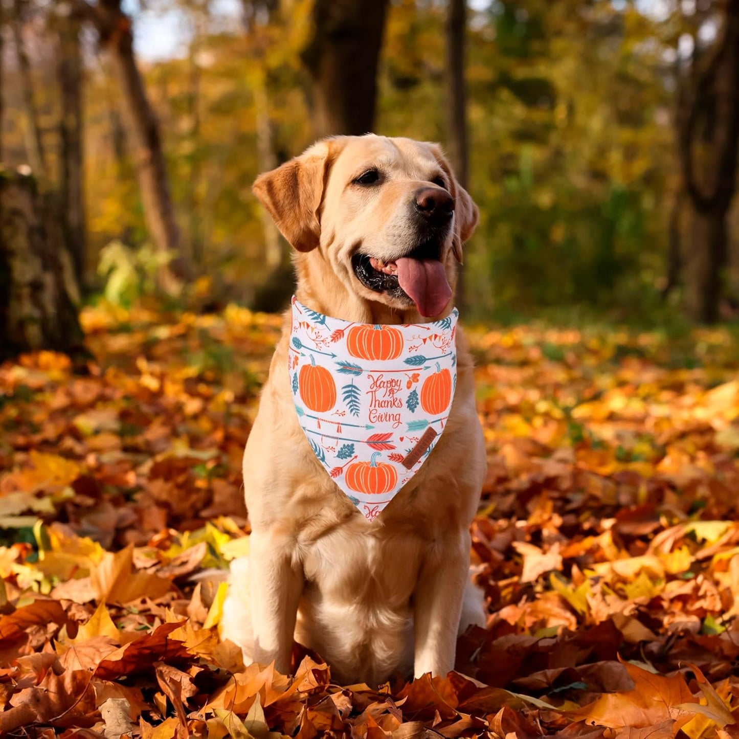 ADOGGYGO Thanksgiving Dog Bandana, Fall Leaves Pumpkin Pet Scarf, Premium Durable Fabric, Adjustable Fit Thanksgiving Bandanas for Extra Large Dogs Pe (X-Large)