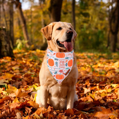 ADOGGYGO Thanksgiving Dog Bandana, Fall Leaves Pumpkin Pet Scarf, Premium Durable Fabric, Adjustable Fit Thanksgiving Bandanas for Extra Large Dogs Pe (X-Large)