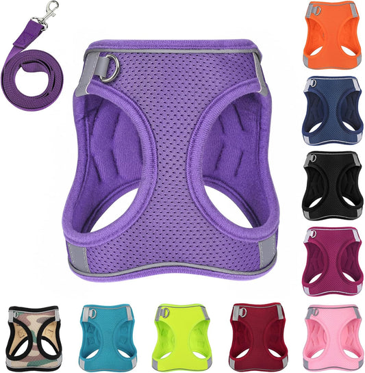 Dog Harness with Leash Set, No-Pull Step-in Reflective Pet Harness with 1 Leash Clips, Adjustable Soft Padded Easy Walk Dog Vest for Small Medium Large Dogs, Cats(Light Purple, Large)