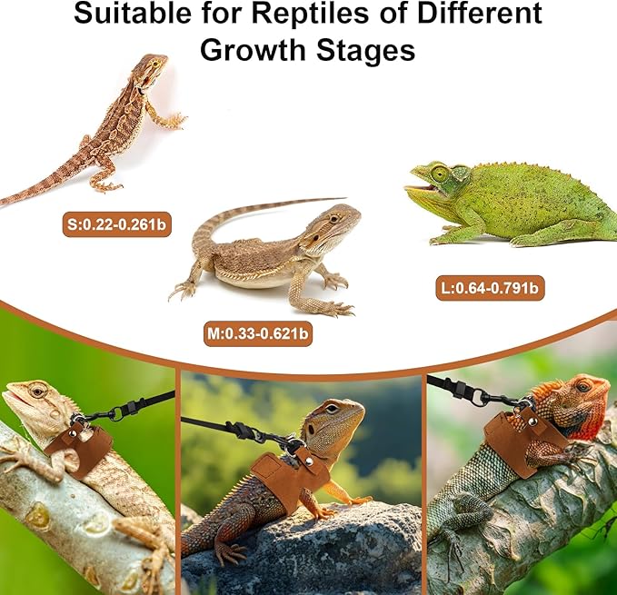 5 Pack Bearded Dragon Harness and Leash Set Bearded Dragon Leash with Retractable, 3 Size Adjustable Soft Leather Harness, Toy Bell Balls for Reptiles Squirrel Lizard Chinchilla