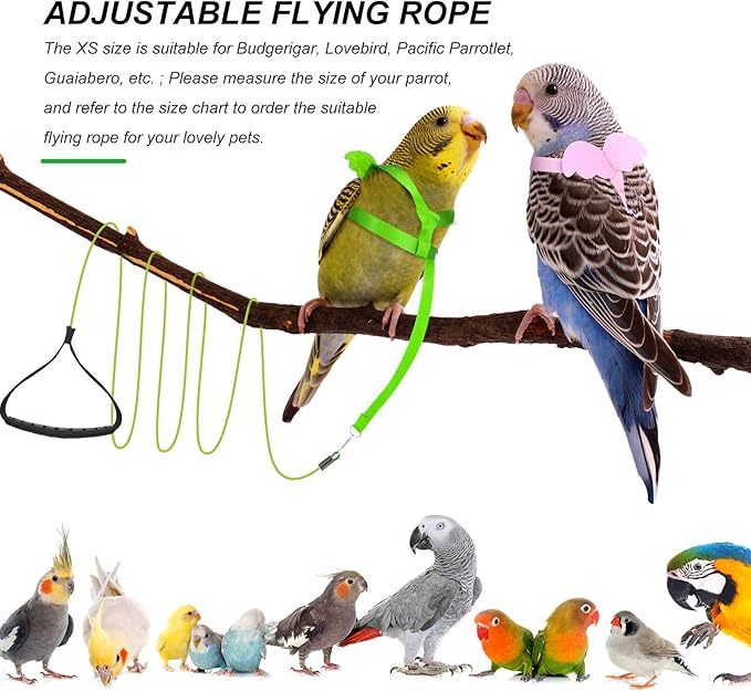 Shappy 4 Pieces Pet Parrot Bird Harness Leash Adjustable Bird Flying Harness Traction Rope with Cute for Parrots Pigeons Budgerigar Lovebird Cockatiel Mynah Outdoor Training Toy (Green, Pink,XS)