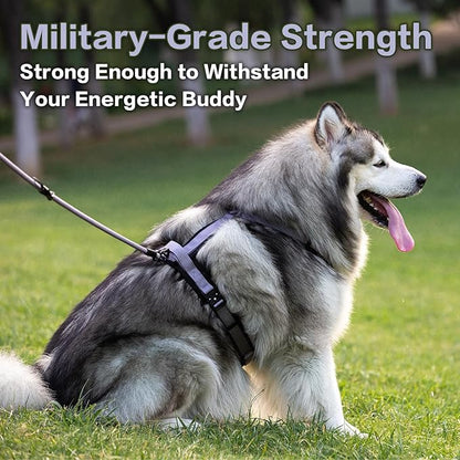 PawsPassion Dog Harness for Large Dogs, No Pull Dog Harness Easy Walk with Metal Hardware, Ergonomic Y-Shaped Design, Soft Padding, Padded Handle, Durable High-Tensile Nylon (Lilac Breeze, L)