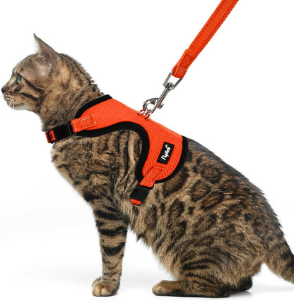 PUPTECK Cat Harness and Leash Set Escape Proof, Reflective Adjustable Soft Mesh Kitten Vest Harness for Walking Travel, Orange, M
