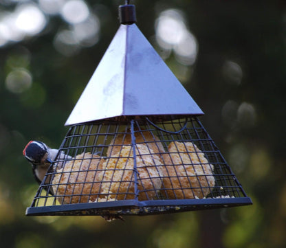 Wildlife Sciences Suet Balls 24 Pack, 6 Individually Wrapped Packs of 4 Bird Suet Balls (Insect and Nuts)