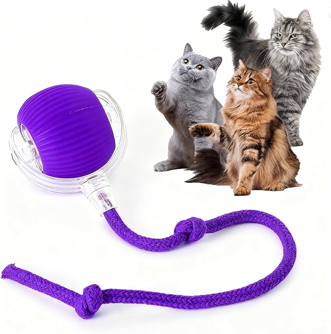 Rocfish Durable Interactive Cat Toys for Indoor Cats, Smart Automatic Cat Chase Ball Toy, Upgraded Speedy Tail Kitten Toy for Bored Indoor Adult Pets (Purple)