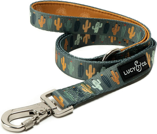 Lucy & Co. 5 Foot Designer Dog Leash – Puppy Leash – Pet Accessories & Supplies (Looking Sharp, Small)