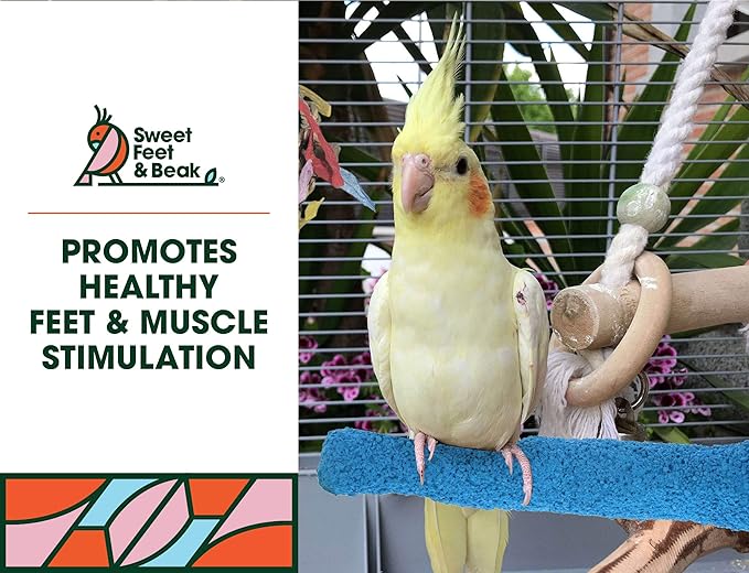 Sweet Feet and Beak Comfort Grip Safety Perch for Bird Cages - Pedicure Perch for Birds to Keep Nails and Beaks in Top Condition - Safe Easy to Install Bird Cage Accessories - X-Small 4.5"