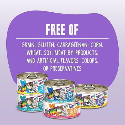 Weruva B.F.F. OMG - Best Feline Friend Oh My Gravy! Grain-Free Wet Cat Food Cans, Crazy 4 U! Chicken & Salmon, 2.8oz Can (Pack of 12)
