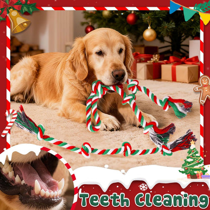 Heavy Duty Christmas Dog Rope Toys for Aggressive Chewers- Tough Tug of War & Chew Toys for Large, Medium & Small Dogs, 5 Pack Including 2 Ropes & 3 Supplies