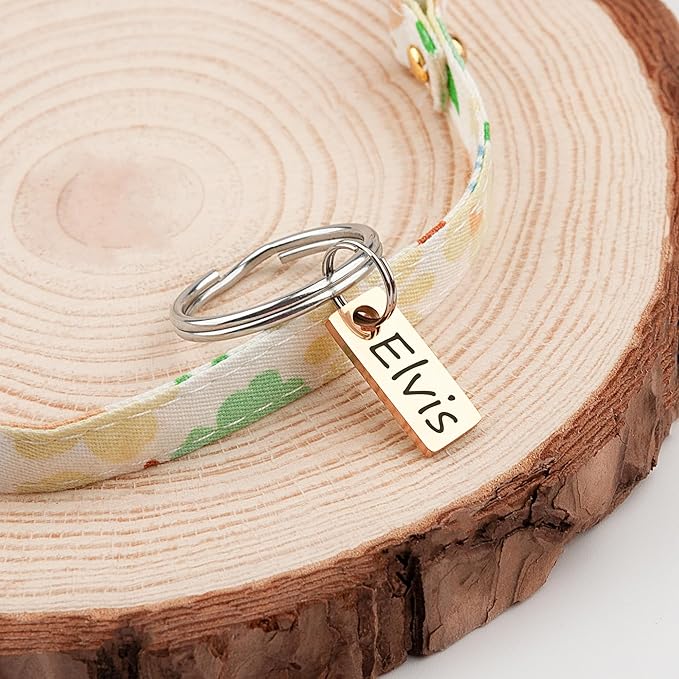 Anavia Small Size Dog Cat ID Tags, Small/XS Personalized Color Plated Stainless Steel Puppy Kitten Name Tags, Customized Engraved Nameplate Pet Collar Tag (Rainbow, XS-Rectangle)