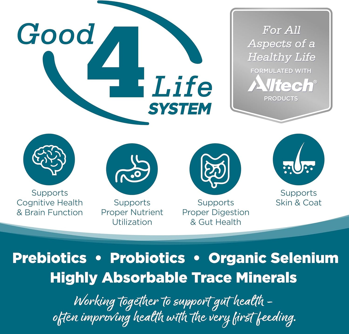 NutriSource Grain Free Chicken Recipe Dog Food, Premium Wet Dog Food, 12.3 Ounce (Pack of 12)