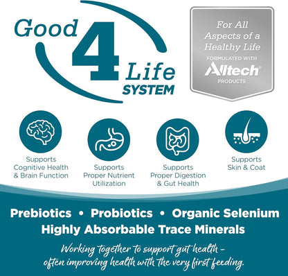 NutriSource Grain Free Chicken Recipe Dog Food, Premium Wet Dog Food, 12.3 Ounce (Pack of 12)