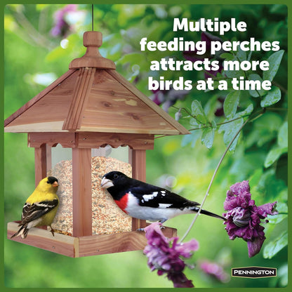 Pennington 100521909 Jr Pavilion Bird Feeder, 2.5 lb, Aromatic Eastern Red Cedar