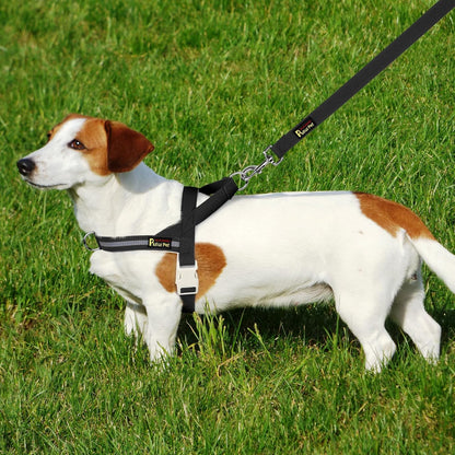 Plutus Pet Cotton Dog Harness and Leash Set, Reflective and Soft Padded, Quick Fit Vest Harness, for Small, Medium and Large Dogs, Black, XXS
