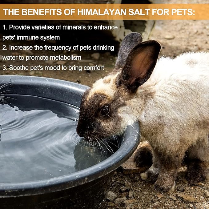 4 Pack Himalayan Small Pets Lick Salt Block on Rope- Natural Small Animal Mineral Salt Chew Toys with Rope, Small Pet Chew Treat Supplies for Guinea Pig Rabbits Bunny Ferrets