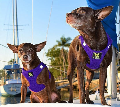 EcoBark Step in Dog Harness Vest - Reflective Soft Ultra Padded Mesh Dog Harnesses for XXS, XS, Small, and Medium Dogs Eco-Friendly Comfort Secure Halter No Pull Adjustable Pet Vest (Small, Purple)